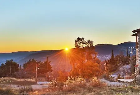 Levanta ゲストハウス